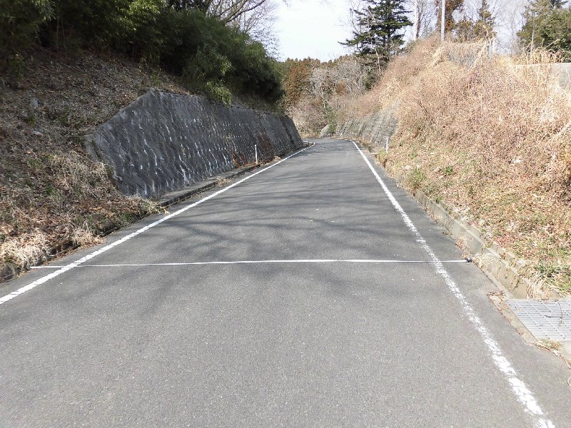 双葉郡楢葉町大字井出字八石土地