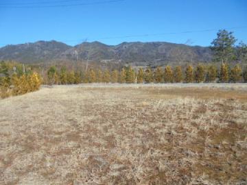 現地土地写真(2017年1月) 現地土地写真(2017年1月)