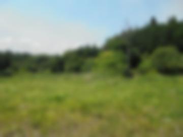 現地土地写真