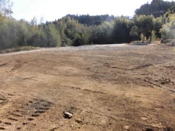 現地土地写真(2023年2月)