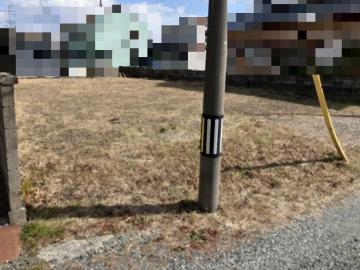 現地土地写真(2025年3月)