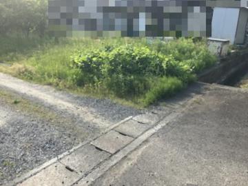 前面道路含む現地写真(2025年5月)