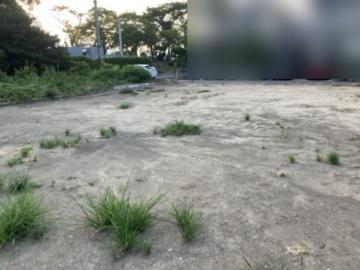 現地土地写真(2025年8月)