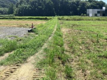 前面道路含む現地写真(2025年9月)