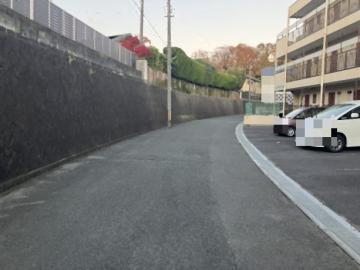 前面道路含む現地写真(2025年11月)