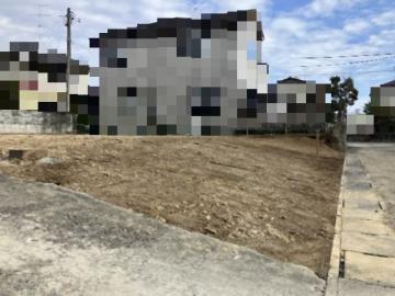 現地土地写真(2026年1月)