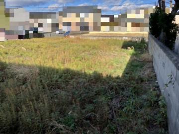 現地土地写真(2026年1月)