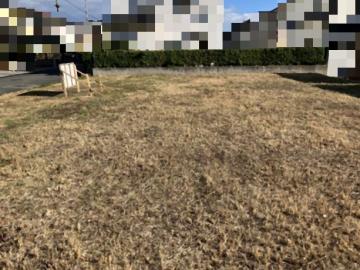 現地土地写真(2025年12月)