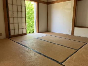 居室(2026年5月)