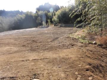 現地土地写真(2023年2月)