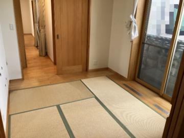 居室(2025年11月)