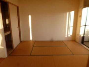 居室(2025年11月)