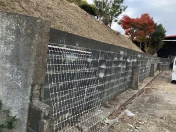 その他画像(2025年12月)