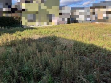 現地土地写真(2026年1月)