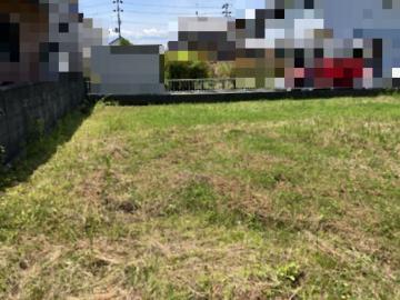 現地土地写真(2026年6月)