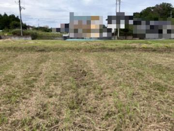 現地土地写真(2026年8月)