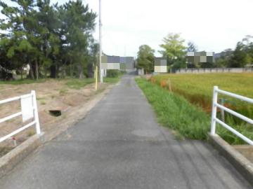 前面道路含む現地写真(2025年8月)