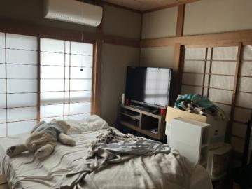 居室(2025年11月)