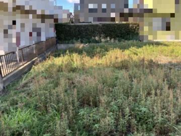 現地土地写真(2026年1月)