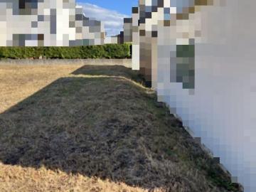 現地土地写真(2025年12月)