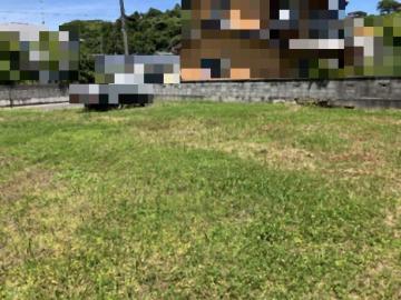現地土地写真(2026年6月)