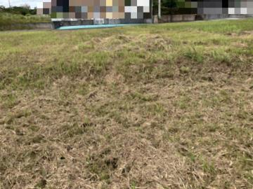 現地土地写真(2026年8月)