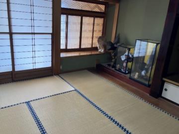 居室(2026年9月)