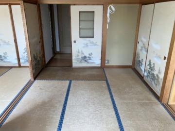 居室(2025年5月)