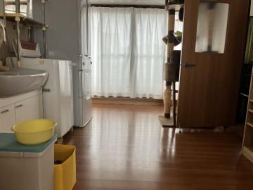 居室(2025年5月)