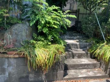 現地土地写真(2025年6月)