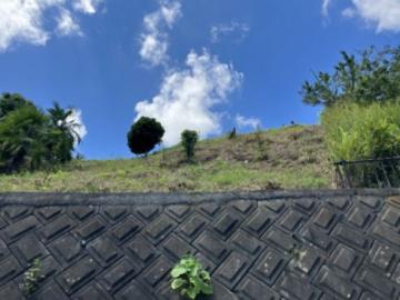 現地土地写真(2025年7月)