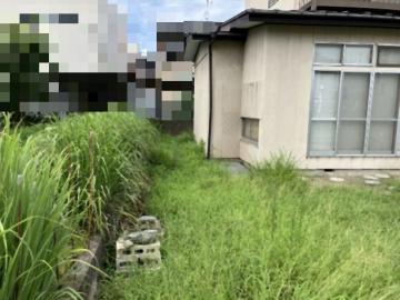 現地土地写真(2025年8月)