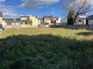 現地土地写真(2026年1月)