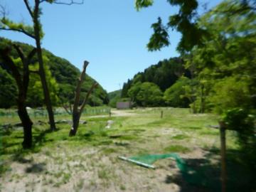 現地土地写真(2026年5月)