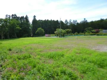 現地土地写真(2026年6月)