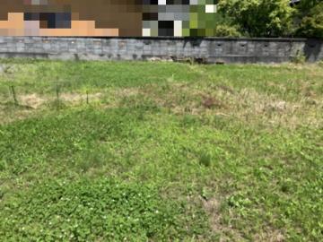 現地土地写真(2026年6月)