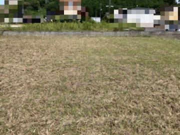 現地土地写真(2026年8月)