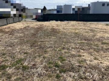 現地土地写真(2026年2月)