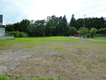 現地土地写真(2026年6月)