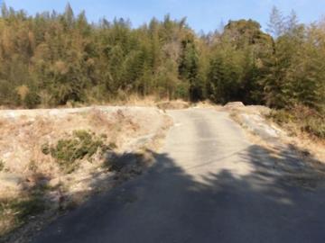 前面道路含む現地写真(2023年2月)