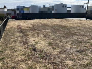 現地土地写真(2026年2月)