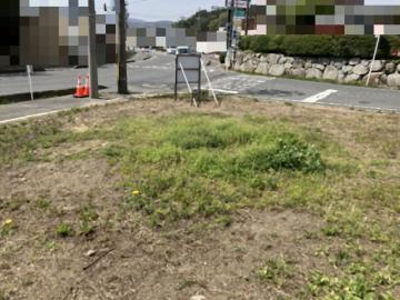 現地土地写真(2026年4月)