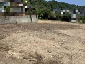 現地土地写真(2026年7月)