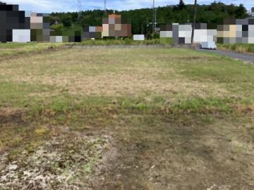 現地土地写真(2026年8月)