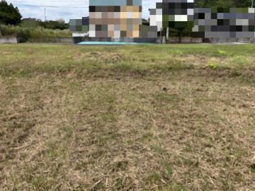 現地土地写真(2026年8月)
