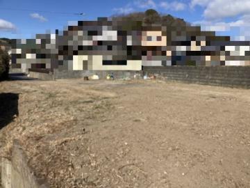 現地土地写真(2024年2月)