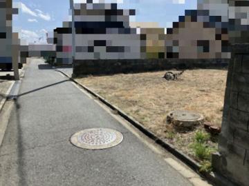 前面道路含む現地写真(2025年3月)
