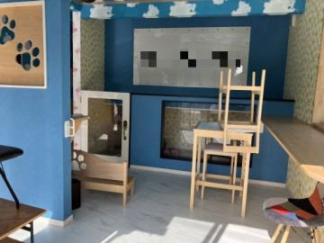 その他内観(2026年2月)