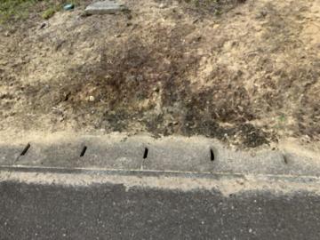 現地土地写真(2026年8月)