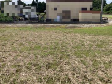 現地土地写真(2026年8月)